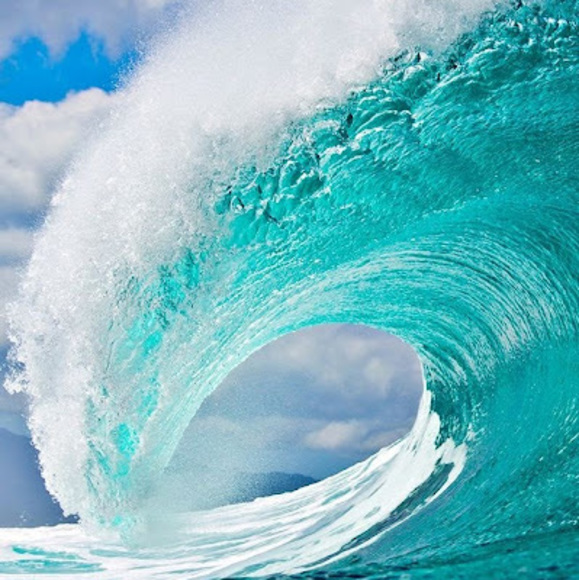 Meet your Posher, Emily - Picture 1 of 1